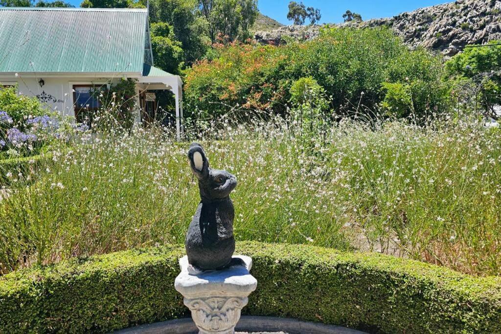 Grey Rabbit Cottage Montagu Exterior foto